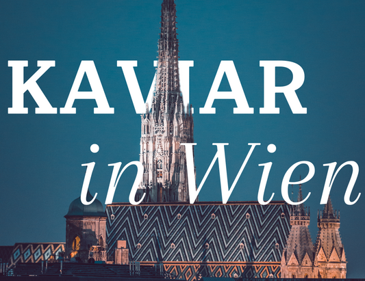 🖤 Wo kauft man den besten Kaviar in Wien? [2025 Guide]