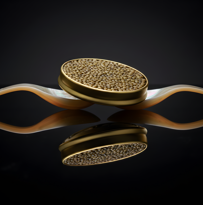 Oscietra 6* - Grand Cru